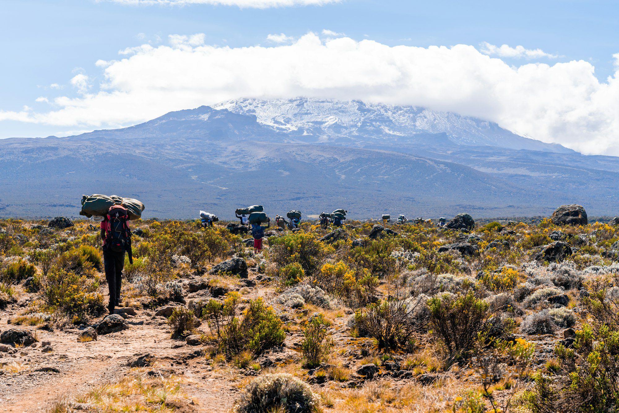 Tanzania Walking Safari