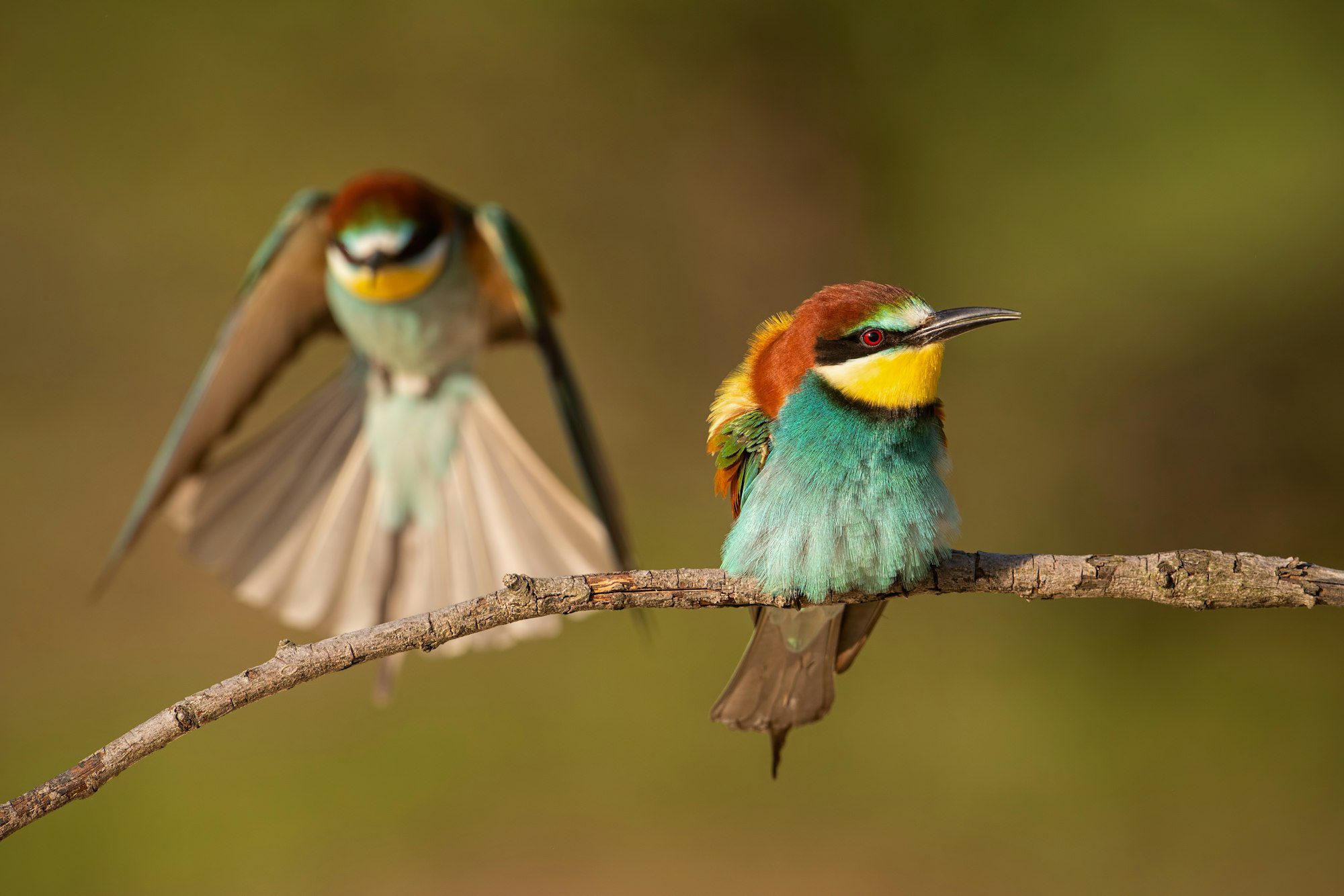 Lake Manyara National Park