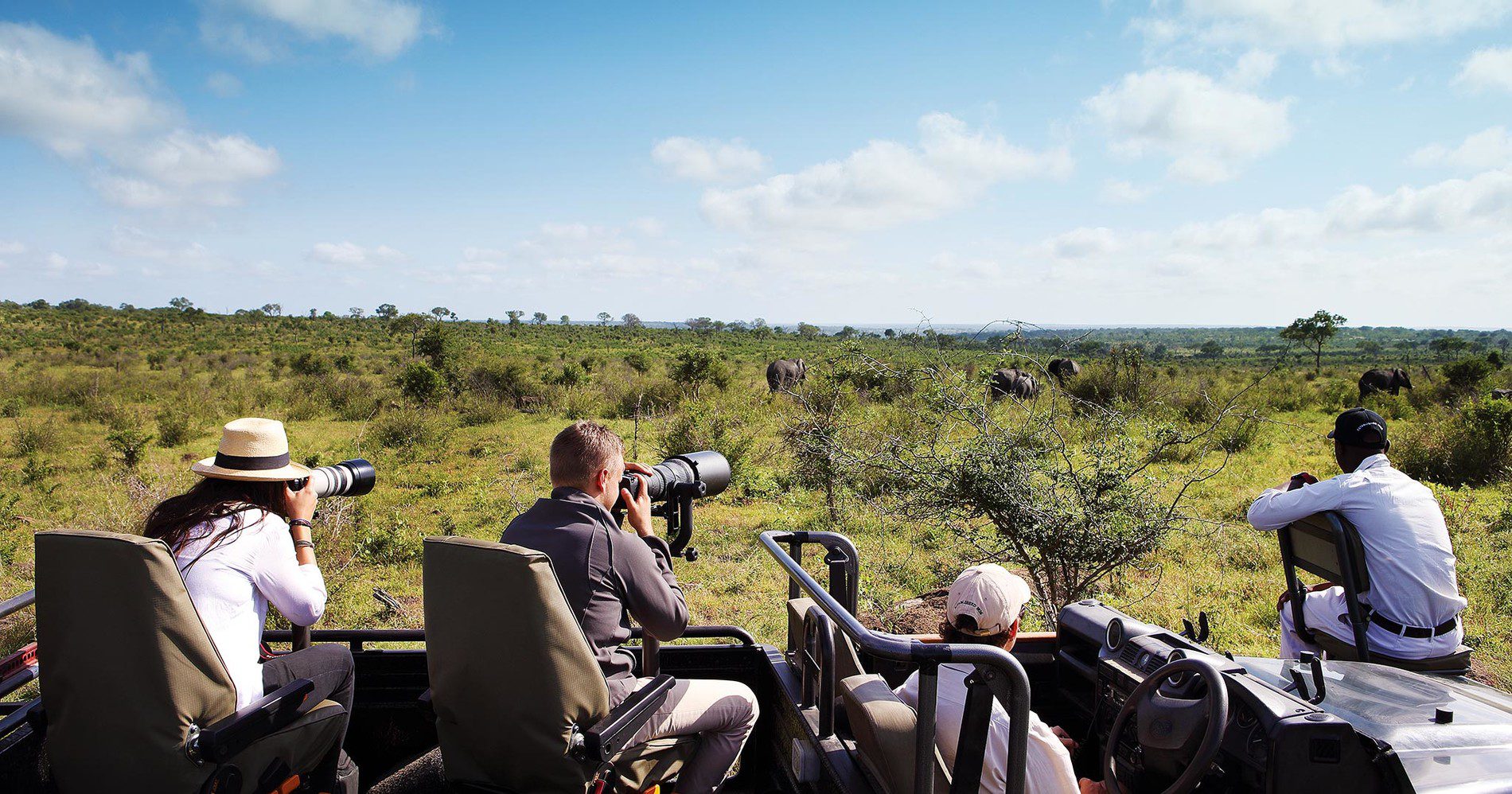 Safari Gallery