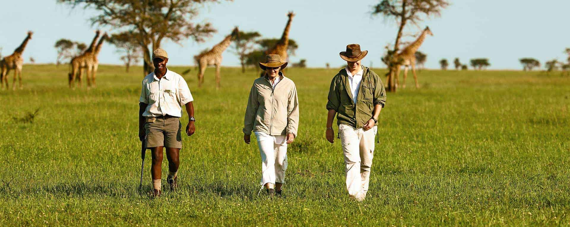 Safari Gallery