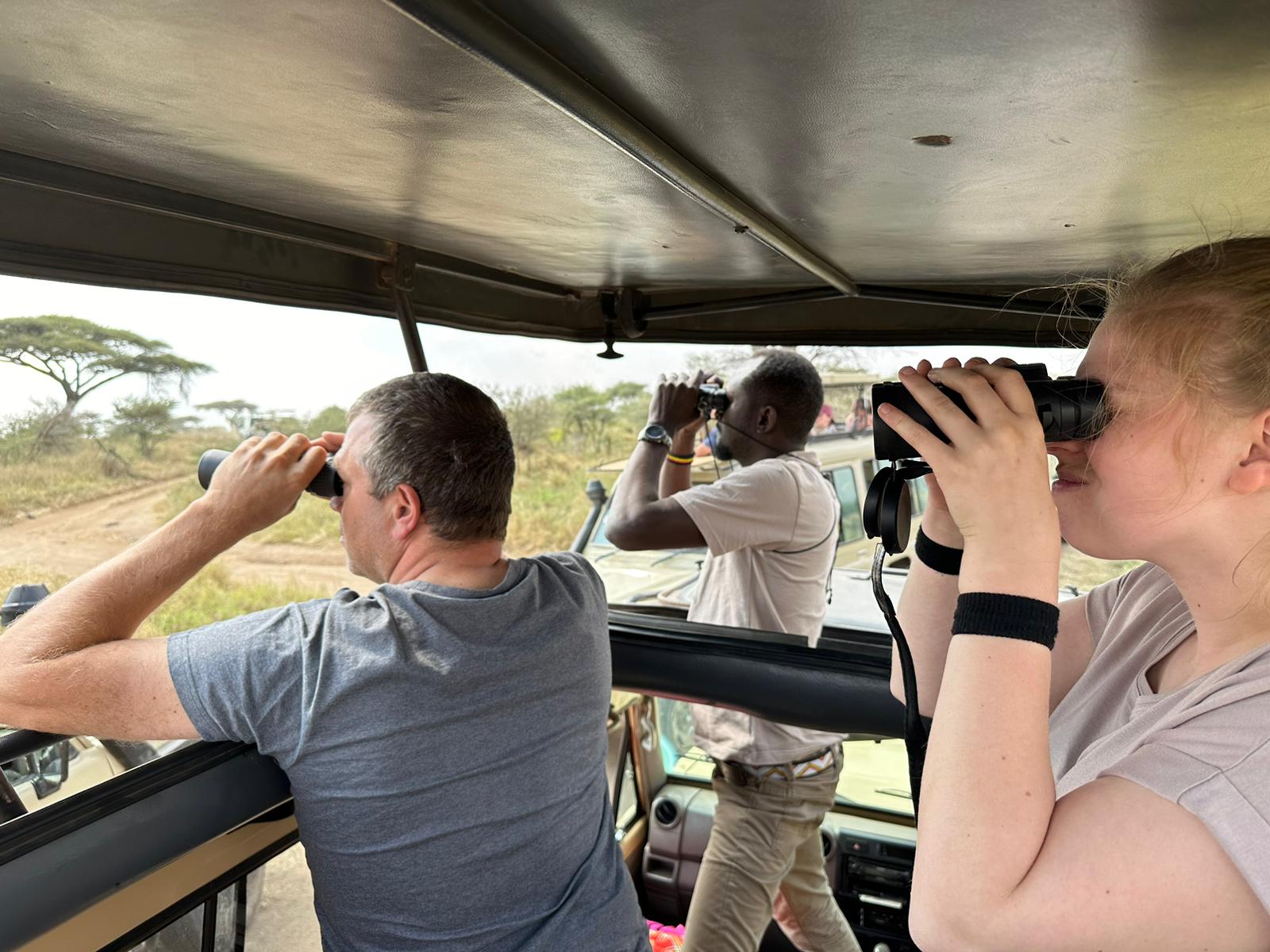 Safari Gallery