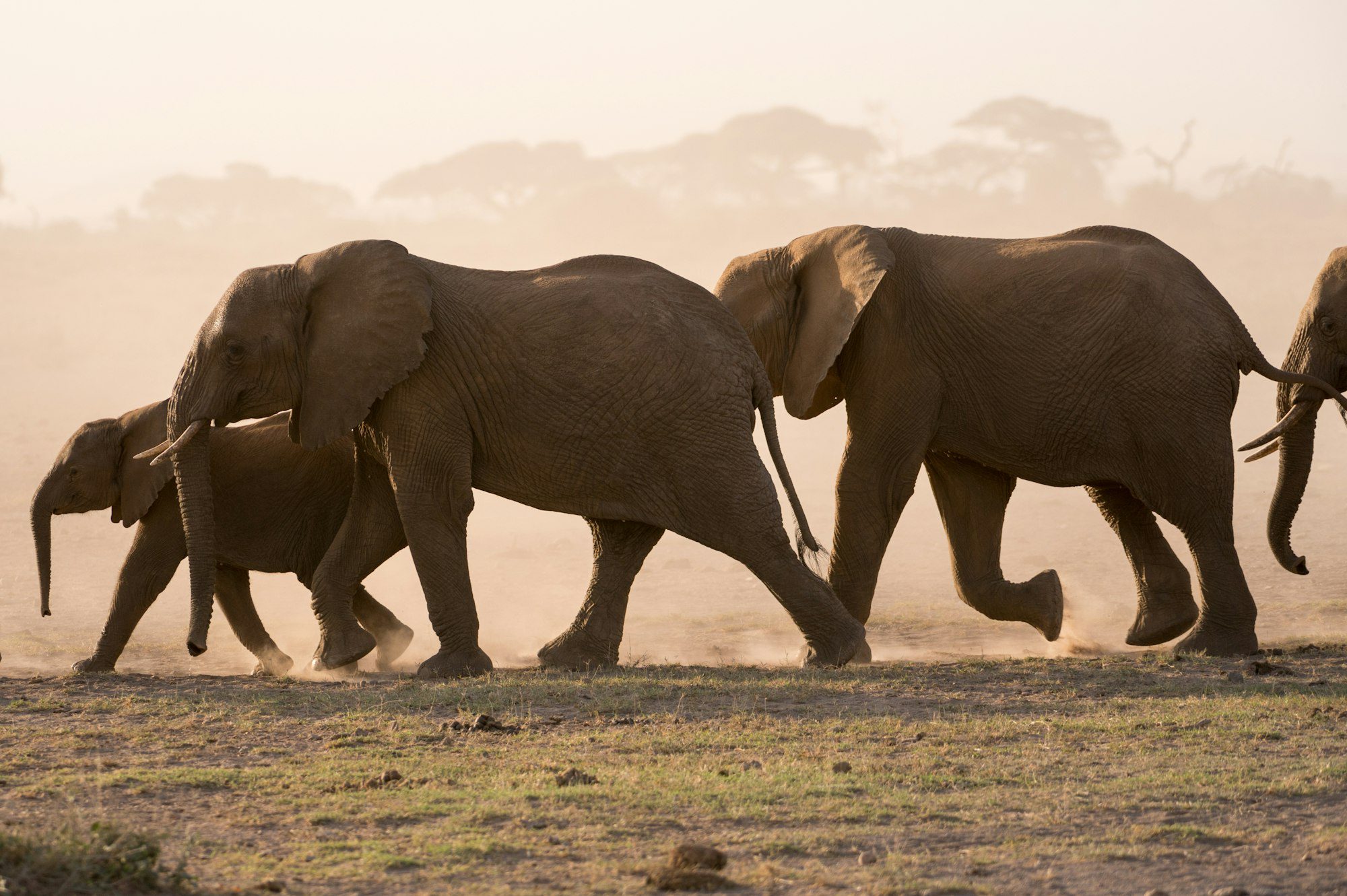 Tarangire National Park