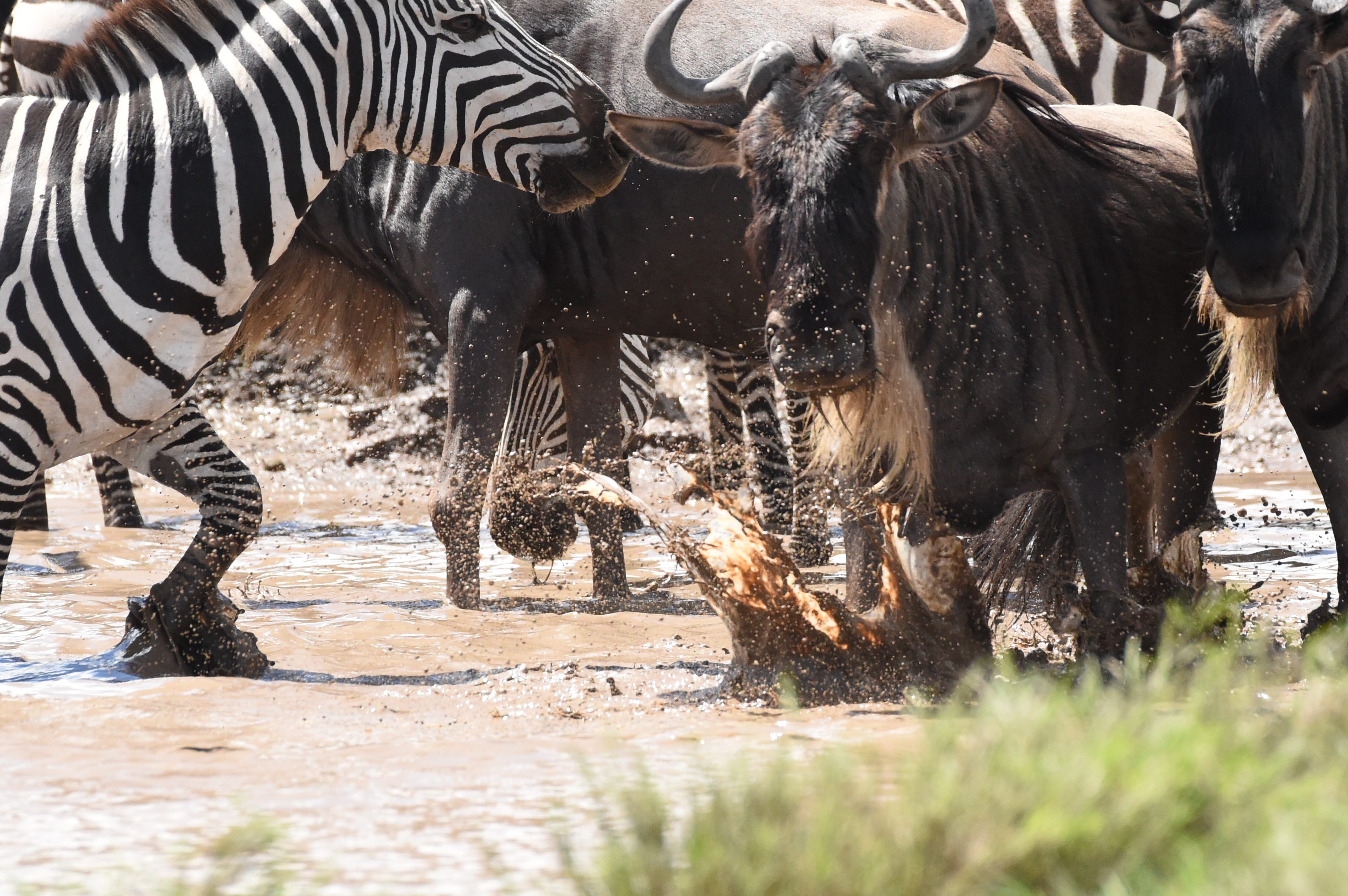 Serengeti National Park