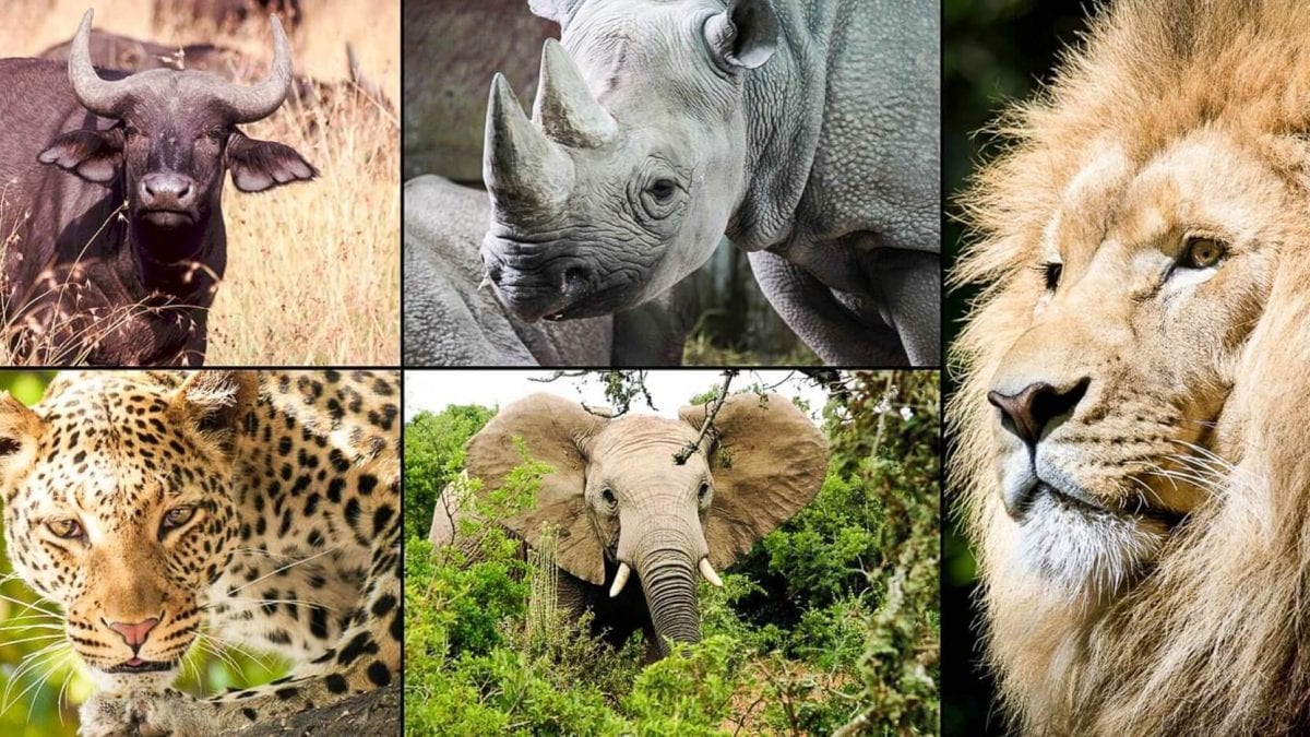 Tanzania National Parks Map: Every Park, Reserve, and Conservation Area Explained
